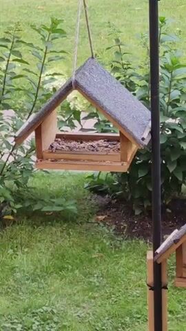 The video shows a bird feeder hanging from a rope in a garden setting. The feeder is made of wood and has a pitched roof. It is filled with birdseed. A small bird lands on the feeder and begins to eat the seeds. The bird is brown and gray and has a short, pointed beak. The bird feeder is suspended in front of a green leafy bush and a grassy area. In the lower right corner of the frame, another bird feeder is partially visible, attached to a dark pole. The lighting suggests it is daytime.