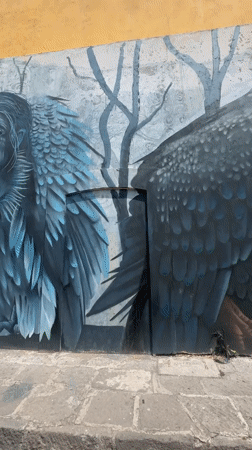 Street art murals documented in Puebla, Mexico
