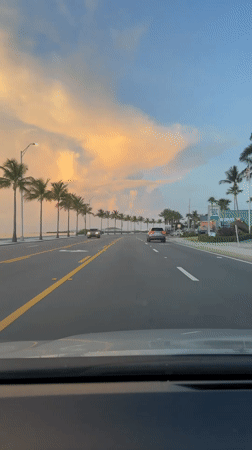 Cruising a palm-lined Key West road under a colorful sky