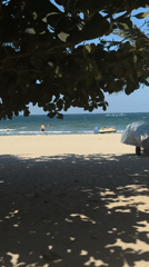 Unspecified moment witnessed in Đà Nẵng, Vietnam