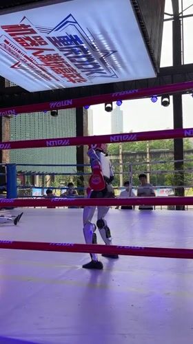 Humanoid robots square off in a boxing ring in Dadukou