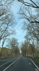 Tree-lined roadway documented in Erp, Netherlands morning hours