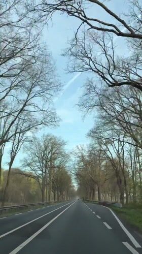 Tree-lined roadway documented in Erp, Netherlands morning hours
