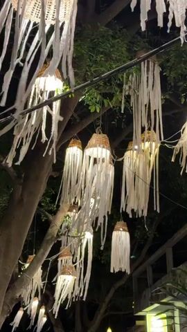 This media file captures a nighttime scene in the Ko Tao Subdistrict of Thailand, featuring an outdoor decorative lighting display. The primary subjects are numerous hanging lights, designed to resemble jellyfish or sea creatures. These lights are suspended from overhead wires or branches, casting a warm, inviting glow.

Each light fixture consists of a woven basket-like top, from which hang numerous long, white fabric strips. These strips create a flowing, tentacle-like effect, mimicking the movement of jellyfish in water. The lights themselves are visible within the basket structure, illuminating the fabric strips and creating a soft, ethereal ambiance.

The setting is a tree-lined area, likely outdoors at a restaurant, market, or public space, given the decorative nature of the lights and the presence of some foliage. The background is dark, indicating nighttime, and there are no clear indications of the weather, but the scene suggests a calm evening. The overall mood is enchanting and festive, with the lights creating a whimsical and somewhat magical atmosphere.

No people are visible in the frame, and there is no discernible text within the media. The focus is entirely on the artistic presentation of the decorative lights against the dark backdrop of the night sky and surrounding trees.