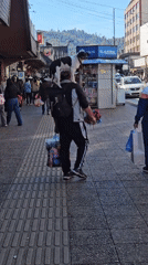 Man walks through Temuco with dog on shoulders