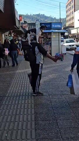 The video depicts a man walking down a crowded sidewalk in an urban setting with a black and white dog standing on his shoulders. The man is wearing a gray shirt, black pants with a white stripe, and a backpack. He is carrying a shopping bag in one hand and a bunch of colorful flowers in the other. The dog appears calm and balanced as the man walks. Other pedestrians are walking in both directions, some carrying shopping bags. The sidewalk is made of gray tiles, and there are buildings and shops lining the street. In the background, there's a newspaper stand with advertisements and cars driving on the street. The weather appears to be sunny.