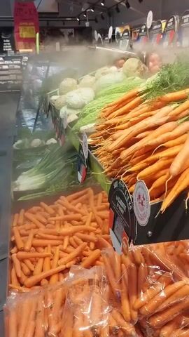 The video shows a refrigerated produce display in a grocery store. Fresh vegetables, including carrots, leeks, cabbage, and cauliflower, are arranged in metal bins and on shelves. The vegetables are misted with water from a spray system to keep them fresh. The display is well-lit, and the overall environment appears clean and organized. There are price tags and labels visible on some of the produce.