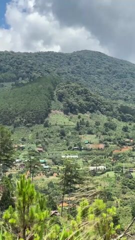 The video shows a hillside covered in lush green vegetation and trees. Initially, the sky is overcast with grey clouds, but it transitions to a brighter scene with blue sky and scattered white clouds.  There are some small structures or buildings scattered throughout the lower part of the hillside, suggesting a small settlement or village.  The camera pans upwards, showcasing the dense forest covering the hillside.