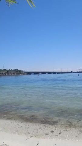 The video shows a clear blue sky and a body of water. In the distance, there is a bridge or pier with lights. In the middle ground, a jet ski is being ridden across the water, creating a wake. Closer to the shore, several ducks are swimming. The foreground consists of a sandy beach with some debris. The water is relatively clear, showing some of the seabed. The overall scene is tranquil and depicts a sunny day by the water.