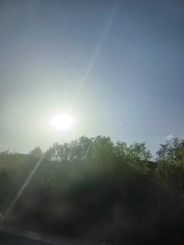 The video shows a bright sun in the sky, with a sunbeam cutting across the frame. The sun is partially obscured by trees. The camera appears to be moving, likely in a vehicle, as indicated by the slight blur and movement of the landscape. The overall scene is one of a sunny day, possibly in a rural or natural setting. There are no people or distinct objects visible, other than the trees and the sky.