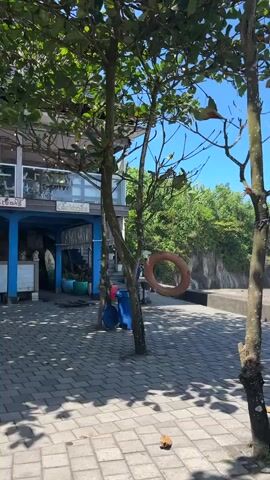 A tree with green leaves casts shadows on a paved area in front of a building with a blue lower level. The building has signs that read "Steak" and "Cocktail" on the upper level. To the right of the tree, a life preserver and a blue barrel are visible. In the background, a rock face covered in green foliage rises under a clear blue sky. The scene appears to be outdoors, possibly near a beach.