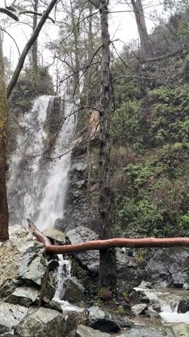 A waterfall is viewed from a low angle. It cascades down a rocky cliff, surrounded by trees. A woman in a brown fuzzy coat stands on the right side, and two figures in hoodies stand on the left, all looking at the waterfall. A wooden log is placed in front of the people, possibly serving as a barrier. The environment appears to be a forest with bare trees suggesting a colder season or a deciduous variety. The overall impression is a group of people admiring a natural waterfall in a woodland setting.