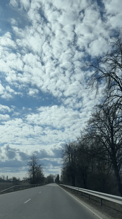 Clear spring morning captured on rural Latvian roadway