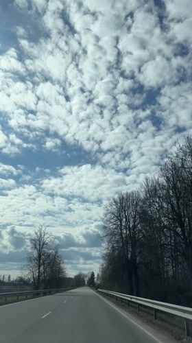 Clear spring morning captured on rural Latvian roadway