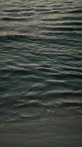 The video depicts the surface of the ocean, with small, gentle waves rippling across the water. The water is a dark, muted blue-green color, reflecting some light near the top of the frame. The camera appears to be positioned near the shore, as the edge of a sandy beach is visible at the bottom of the shot.