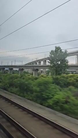 This is a POV shot from a moving train, showing a landscape of green trees and a large elevated highway or railway bridge with support pillars. The sky is overcast and there are overhead power lines visible. The train tracks are in the foreground, and the motion blur indicates the train's speed.