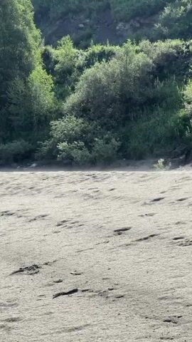 The video opens on a sandy shore. The foreground is dominated by sand with visible footprints and what appears to be writing etched into the sand. The background features a lush green hillside covered in trees and shrubs. A gentle breeze can be seen kicking up dust or sand along the waterline between the sand and the vegetation. The lighting suggests it is daytime, likely morning or late afternoon given the soft light. The scene is peaceful and natural.
