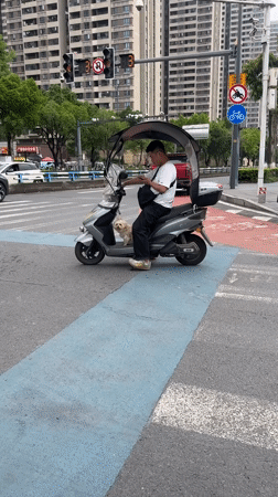 Robot demonstration draws morning crowds in Chongqing residential district