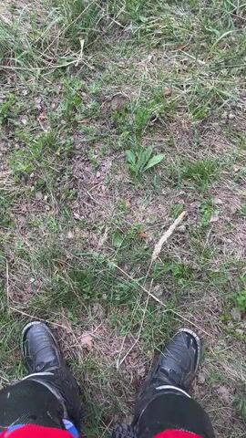The video shows a grassy field with a small pine tree in the center, surrounded by a birch forest on a cloudy day. The camera slowly pans up from the ground to reveal the entire scene.