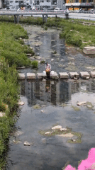 Man stands on stepping stones in Daejeon urban stream