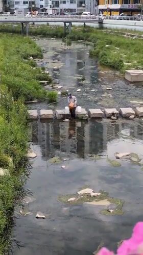 Man stands on stepping stones in Daejeon urban stream