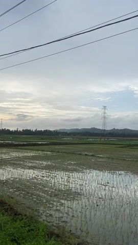 The video shows a rural landscape with a rice paddy in the foreground and a transmission tower in the middle ground. The sky is overcast with a few patches of blue visible. The rice paddy is flooded, with young rice plants growing in rows. The transmission tower is tall and made of metal. In the background, there are hills covered in trees. The video appears to be shot from a moving vehicle, as there is slight camera shake. There are no people or animals visible in the video. The overall impression is one of a tranquil, agricultural setting.