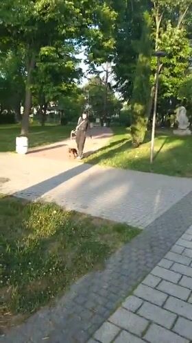 Afternoon life documented across parks and stations in Stara Zagora