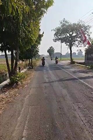 A point-of-view video shows a person riding a motorcycle down a rural road. The road is paved and has a white line marking the edge on the left side. On the left side of the road are fields and trees, and on the right side are more fields, trees, and power lines. Several other motorcycles are visible in the distance. The sky is clear and bright. The video is shaky, indicating the camera is mounted on the motorcycle.