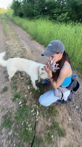 Woman walks dog, picks wildflowers on Bulgarian countryside paths