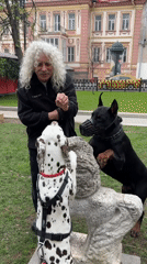 Man feeds dogs near lion statue in Moscow park