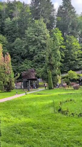 A drone shot flies over a grassy area with people walking and standing around. In the background, there are trees and wooden structures. Two large, rustic pots are placed in the grass. The sky is partly cloudy.