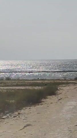 The video shows a view of a body of water, possibly the sea or a large lake, with a shimmering surface reflecting sunlight. In the foreground, there is dry, sparse vegetation and sandy ground. The horizon is visible, separating the water from a pale, hazy sky. There are no people or specific objects identifiable in the scene, and no discernible actions or interactions are taking place. The environment appears to be an open, natural landscape.