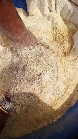 Here's a description of the video:

The video shows a blue container filled with a light-colored, granular substance that resembles sawdust or wood shavings. Two hands enter the frame and sift through the material. The hands, one adorned with a distinctive gold and silver bracelet, stir and scoop the granular substance. A large white bag is partially visible on the top edge of the frame. The action is primarily focused on the tactile interaction with the grainy material in the container.