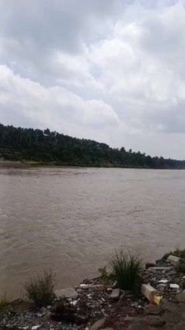 The video presents a wide, panoramic view of a river under an overcast sky. The river water is a murky brown, suggesting a high sediment content, and flows with a visible current from left to right across the frame.

The distant bank is densely covered with lush green trees, predominantly palm varieties, extending along the horizon under the cloudy conditions, typical of a tropical or subtropical region.

The foreground reveals the near riverbank, characterized by rocky and uneven terrain. This area is unfortunately littered with various pieces of trash and debris, including plastic items and discarded packaging, indicating localized environmental pollution. Sparse, grass-like vegetation also grows among the rocks. A small, dark structure is partially visible on the far right edge of the frame at the top.

The sky is largely covered by light grey clouds, providing diffused daylight, consistent with either a late morning or early afternoon setting.

In the background, children's voices and indistinct chatter are audible, including a clear "Halo!" at the start of the clip, suggesting human presence nearby though no individuals are visible within the frame.

The camera remains mostly static, offering a steady shot of the landscape. No specific events or activities are captured beyond the natural movement of the water. There is no visible text. The setting is Simpangjaya, Indonesia.
