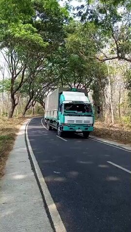 A truck drives down a paved road lined with trees. The truck is a light blue and white box truck with multiple axles. The road is curved, and the trees form a canopy overhead. A sidewalk is visible on the left side of the road. The video is shot from the perspective of someone walking behind the truck on the sidewalk. A scooter is visible in the distance on the road.