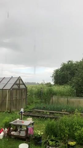 The video captures a rural outdoor scene, likely in Uriupino, Russia, during a rainy day. The overall mood is subdued, reflecting the overcast weather.

**Subjects and Scene:**
The primary subjects are various elements of a garden or small farm. These include a greenhouse with a glass and metal structure, a wooden garden shed, and a collection of plants in pots and garden beds. There are also what appear to be gardening tools and supplies, such as a table with containers and bottles, and a watering can. Railway tracks are visible in the foreground, suggesting the proximity of a train line or perhaps an abandoned one. The background is dominated by lush green vegetation, including trees and taller grasses, creating a natural, somewhat overgrown environment.

**Activity and Event:**
The most prominent activity is the ongoing rain. Visible streaks of rain are captured against the sky, and the overall lighting suggests a wet, dreary day. The scene is static, implying that the video is focused on capturing the atmosphere rather than a specific action.

**Notable Details:**
*   **Weather:** It is clearly raining, with the sky being heavily overcast and grey. This contributes to a somber or tranquil atmosphere, depending on interpretation.
*   **Time of Day:** The dim, diffused light suggests it is daytime, but likely not the bright hours of midday.
*   **Location Cues:** The mention of Uriupino, Russia, provides geographical context. The style of the greenhouse, shed, and the general vegetation are consistent with a rural Russian setting. The railway tracks could also be a local landmark.
*   **Emotions:** The heavy clouds and rain evoke a sense of calmness, perhaps even a touch of melancholy, often associated with rainy days in the countryside.

**Visible Text:**
There is no visible text in the video.