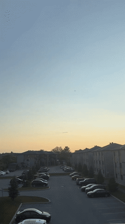 Sunset over Gatineau apartments, peonies indoors