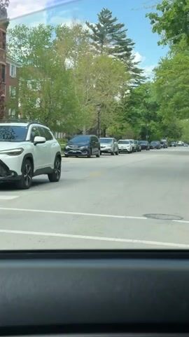 The video shows a view from inside a car driving along a residential street on a sunny day. There are brick buildings on the right side of the street, with lawns and sidewalks in front of them. Trees line the street, creating a leafy canopy. Cars are parked along the side of the road, and traffic is moving slowly. A person wearing a white hat, dark pants, and a blue backpack is seen walking across the crosswalk in front of the car. The camera pans to the right, showing the architecture of the buildings in more detail. We see windows with black shutters, greenery, and well-maintained lawns.