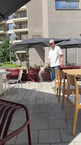 A person wearing a white t-shirt, blue jeans, and a beige cap stands outdoors at a patio area with tables and chairs. The person holds a green hose and sprays water onto the red chairs and the tiled ground. The patio is next to a building, and umbrellas provide shade over some of the tables. Plants are visible behind the chairs.