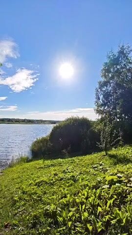 A vertical, high-angle shot captures a bright, sunny day by a lake. The sun is prominently displayed in the upper center of the frame, its rays beaming down. The water of the lake occupies the left side of the image, with gentle ripples on its surface. The shore is covered in lush green grass and foliage, with a thick bush or small tree growing on the right bank of the lake. In the background, across the lake, a faint treeline is visible. The sky is a vibrant blue, with a few wispy white clouds scattered near the sun. The overall impression is one of a serene and picturesque natural landscape.