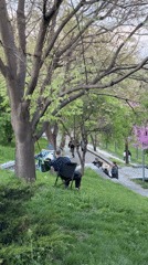 Quiet afternoon moments captured in Yerevan park