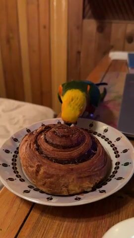 A parrot with yellow, blue, and green feathers is perched on a wooden table in front of a cinnamon roll on a plate. A hand enters the frame and offers a finger to the parrot. The parrot then hops onto the finger and nibbles on it. The background consists of a wooden wall and a blurred white object.