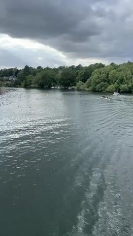 A wide shot captures a river under a cloudy sky. On the left bank, several buildings are visible, along with a large flock of birds gathered on what appears to be a dock or the riverbank. In the center of the frame, the river flows, with reflections of the sky and trees on its surface. Further across the river, a rowing boat with several individuals can be seen moving away from the viewer. The background is filled with lush green trees, creating a natural landscape.