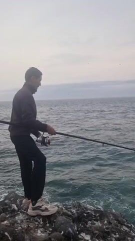 This media file depicts two individuals fishing from a rocky coastline. The setting is a rugged, natural environment with the sea dominating the frame.

In the first part of the video, a man in a dark jacket and black pants stands on a rocky outcrop, holding a fishing rod with a reel. He is facing away from the camera and towards the sea. The water is choppy and a pale grey, suggesting overcast weather. Several birds are visible in the sky.

The scene then shifts to focus on another individual, seen from behind, wearing a dark hooded jacket and a blue cap. This person is also seated on the rocks, facing the sea. The camera pans to show more of the coastline, revealing a rocky cliff face in the distance with waves crashing against it.

The video continues with another person, this time wearing a maroon t-shirt with white stripes on the sleeves and a white cap. This individual is also on the rocks, holding a fishing rod and reel, facing the sea. The backdrop is a dramatic rocky cliff face.

The time of day appears to be either early morning or late afternoon, given the soft, diffused light and the overcast sky. The weather seems cool and possibly windy, as indicated by the choppy sea and the clothing worn by the individuals. The location is clearly coastal, with the presence of rocks, sea, and seabirds. No specific emotions are overtly displayed, but the activity of fishing suggests a sense of patience and engagement with nature. There is no visible text in the media file.