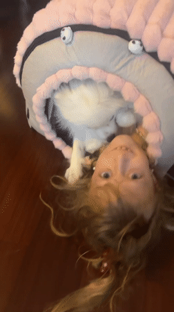 White Pomeranian plays and rests with a child at home