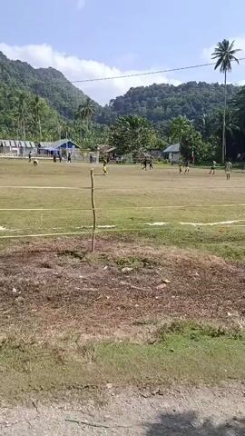 The video shows an outdoor soccer game being played on a grassy field. Several players are visible on the field, along with what appear to be spectators and houses in the background. The field has white lines marking the boundaries and goals. Palm trees and lush green hills are in the background, indicating a tropical or subtropical location. The sky is blue with some clouds, and the overall lighting suggests it is daytime. A wooden pole with a red and white striped flag attached is positioned on the right side of the field. The foreground shows a rougher, dirtier patch of ground.