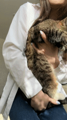 Woman documents daily life with cat in rural Russia