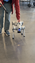 Person demonstrates robotic dog on indoor concrete floor