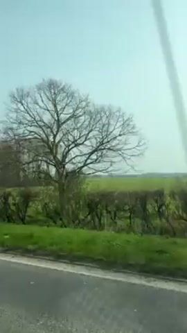 The video shows the view from a vehicle moving along a road. On the right side of the road, there's a green field with a line of bare trees in the background, and a green hedge separating the field from the road. The sky is blue. The perspective shifts slightly as the vehicle moves forward.