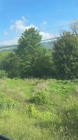 The camera films through the window of a moving vehicle as it travels through a rural landscape. The sky is blue with scattered white clouds.  The landscape consists of a grassy field with patches of dense green vegetation, including trees and bushes.  In the distance, rolling hills are visible.  Power lines run overhead. A yellow gas line marker is briefly visible.